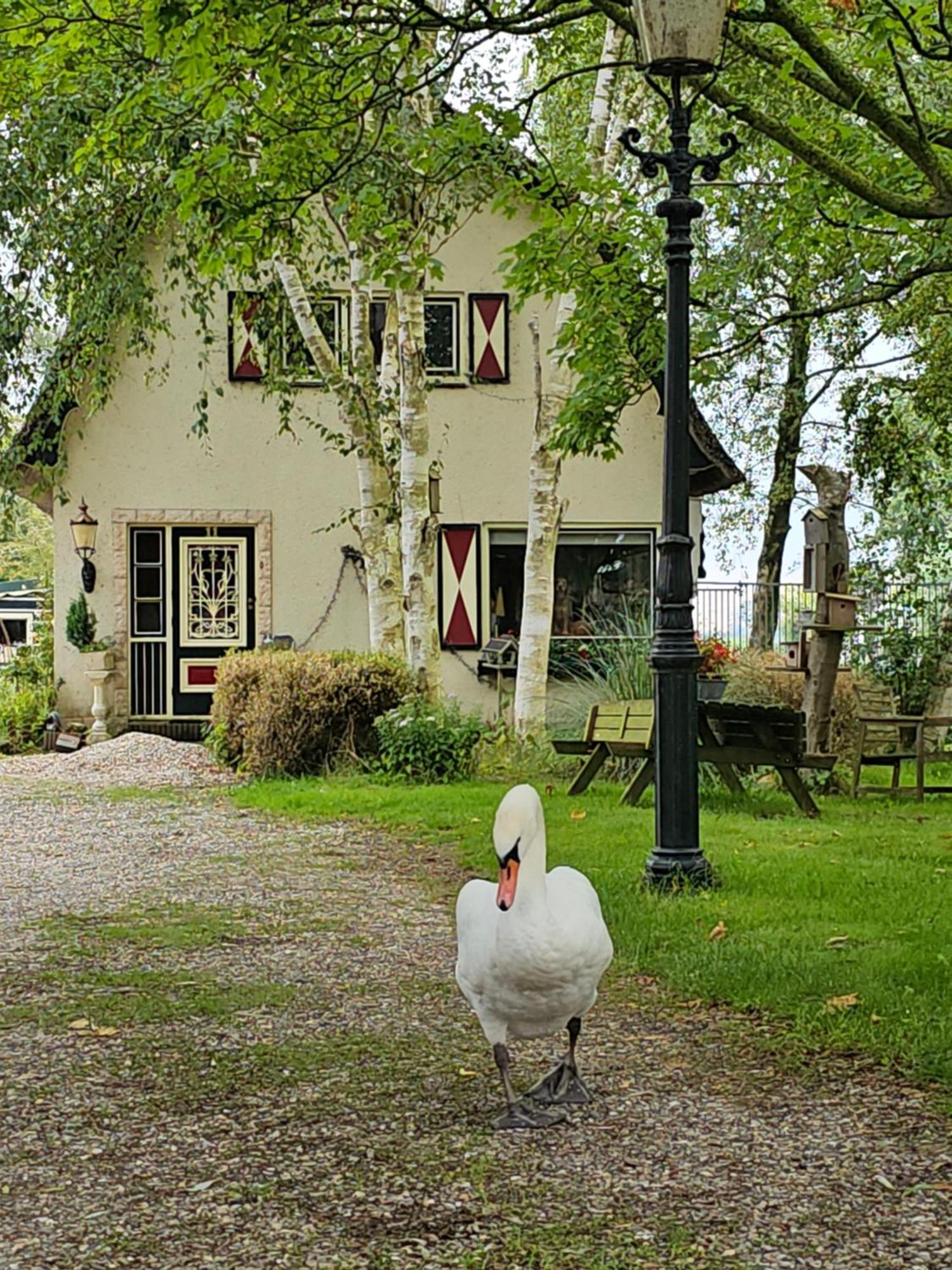 B&B Zusenzomer Oostwoud Eksteriør billede