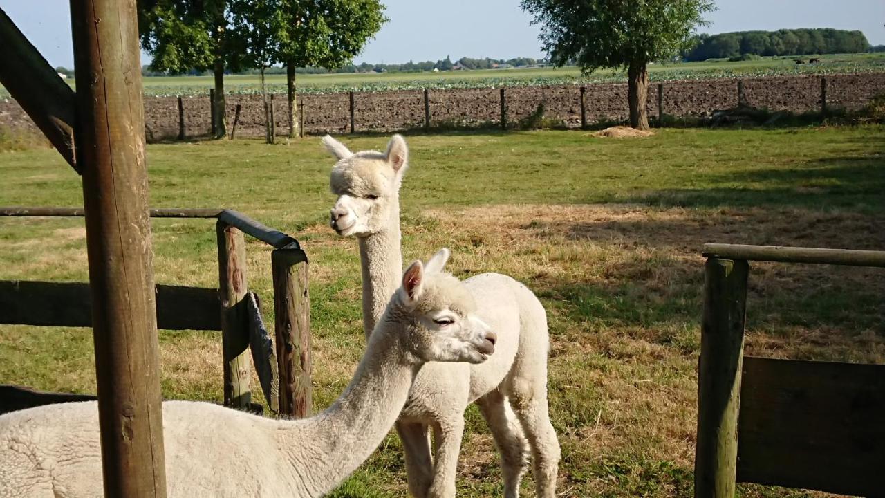 B&B Zusenzomer Oostwoud Eksteriør billede